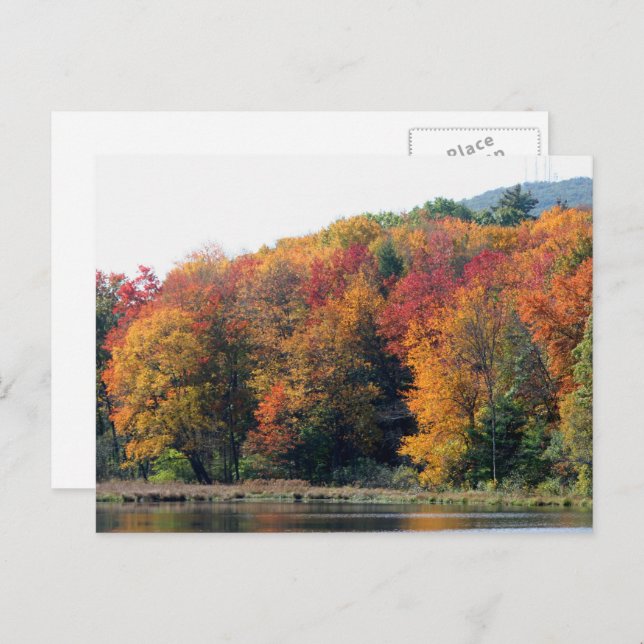 Autumn Foliage Pond Nature Personalized Postcard (Front/Back)