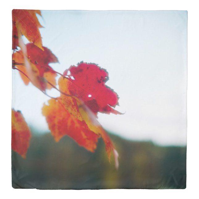 Autumn Foliage Queen Size Duvet Cover (Front)