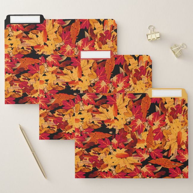 Autumn Foliage Red Orange Yellow File Folder Set