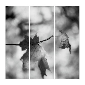 Autumn Foliage Wall Art