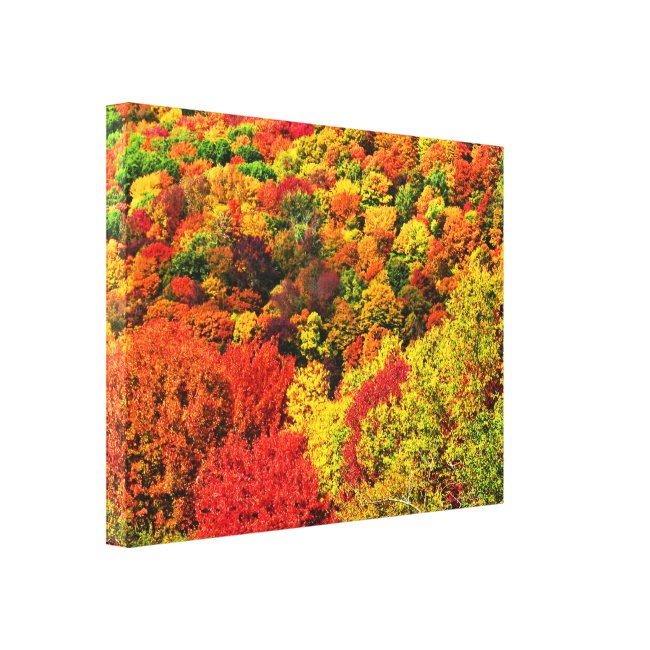 Autumn Foliage Wrapped Canvas Print