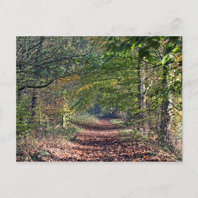 Autumn Footpath Poynton Cheshire Postcard (Front)