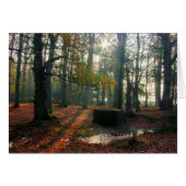 Autumn Forest (Front Horizontal)