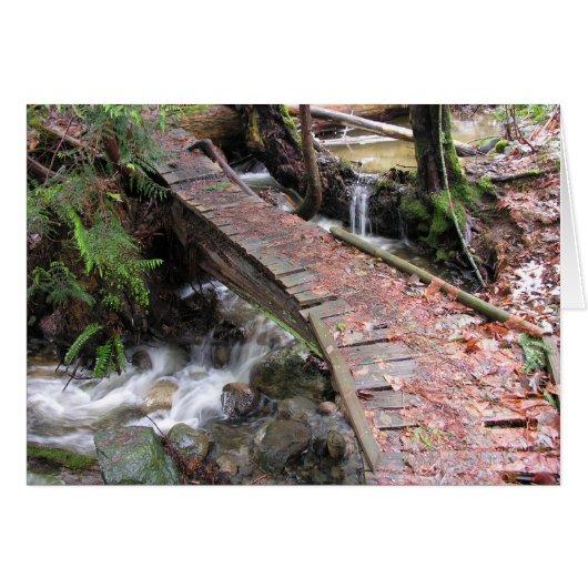 Autumn Forest (Front Horizontal)