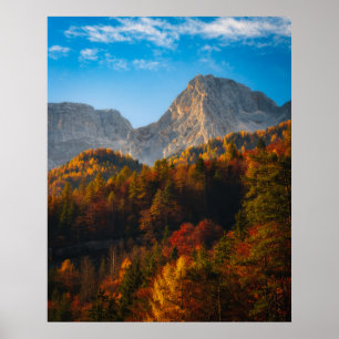 Autumn forest below mountains poster
