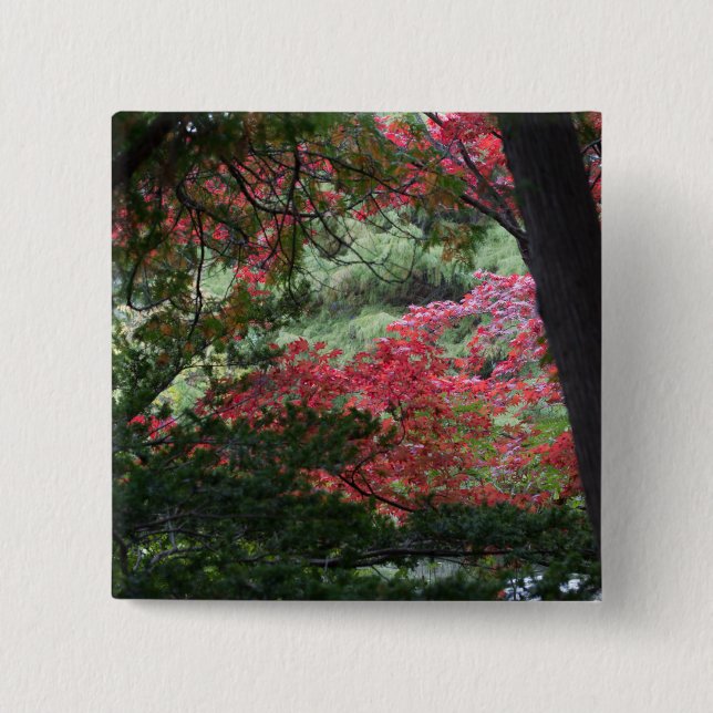 Autumn Forest Button (Front)