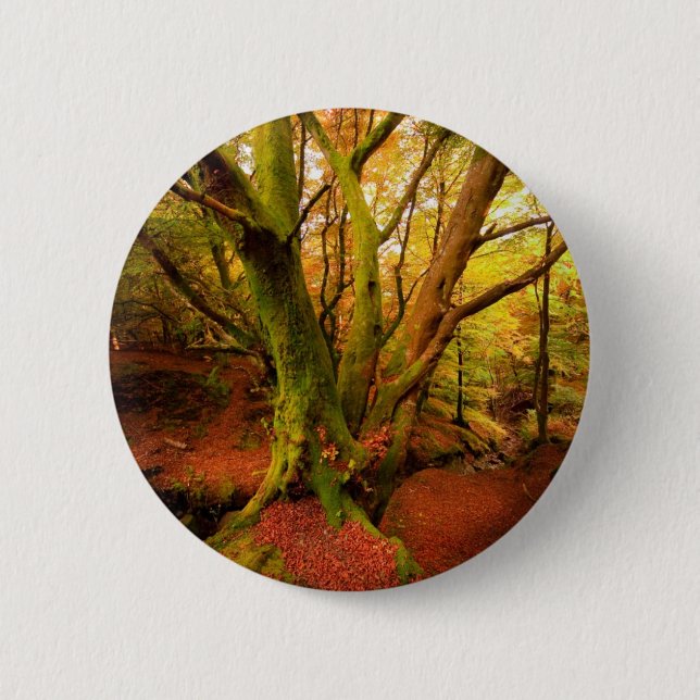 Autumn Forest Button (Front)