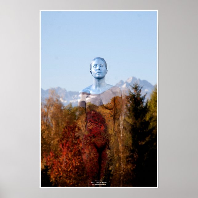 Autumn Forest by Johannes Stötter Poster (Front)