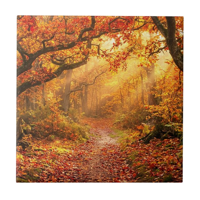 Autumn Forest Ceramic Tile (Front)