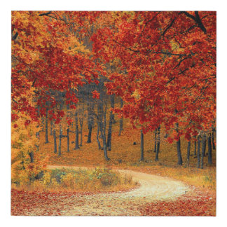Autumn Forest Faux Canvas Print