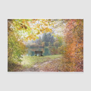 Autumn Forest Frame Tissue Paper