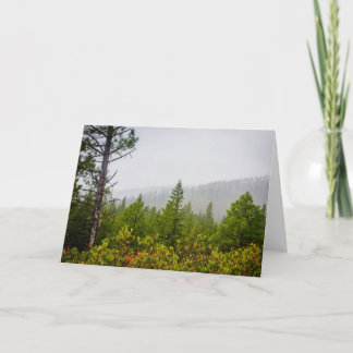 Autumn Forest Greeting Card (Blank)
