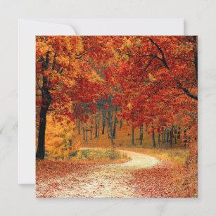 Autumn Forest Holiday Card