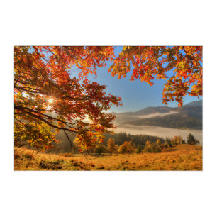 Autumn Forest in the Mountains Acrylic Print