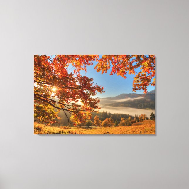 Autumn Forest in the Mountains Canvas Print (Front)