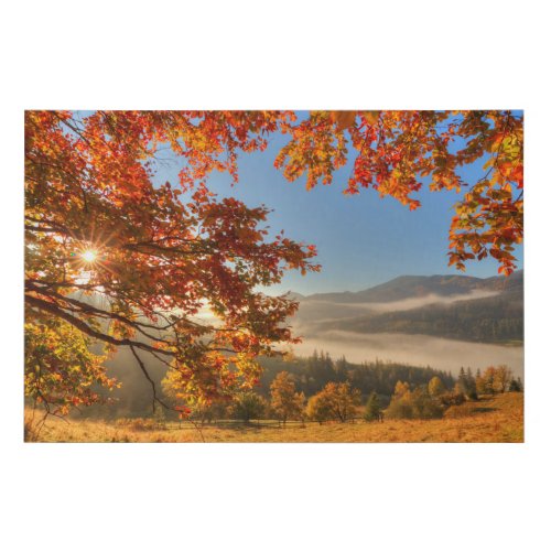 Autumn Forest in the Mountains Faux Canvas Print