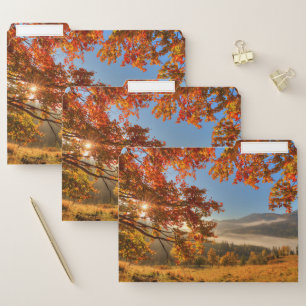 Autumn Forest in the Mountains File Folder
