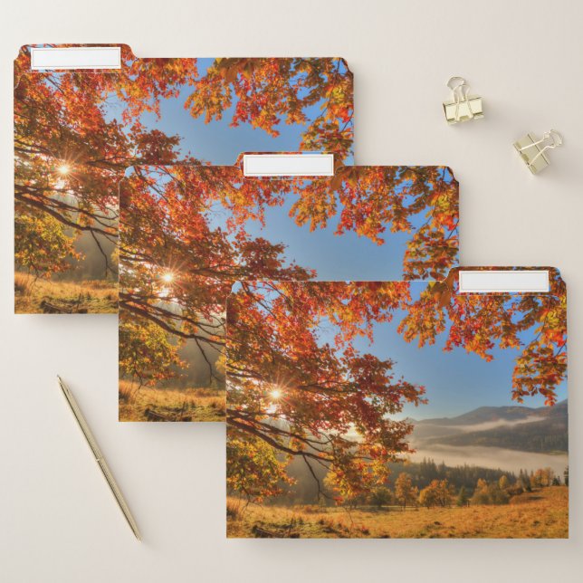 Autumn Forest in the Mountains File Folder (Set)