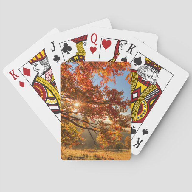 Autumn Forest in the Mountains Poker Cards (Back)