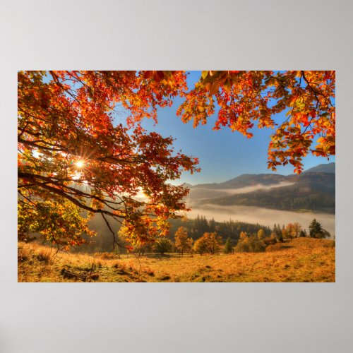 Autumn Forest in the Mountains Poster