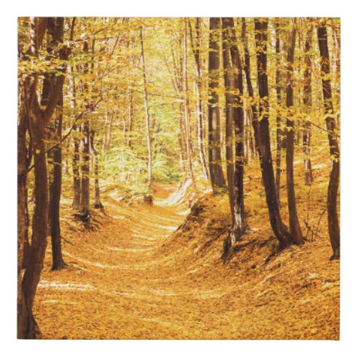 Autumn forest landscape faux canvas print