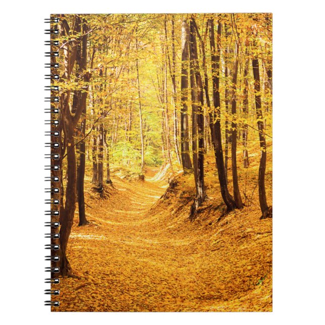 Autumn forest landscape notebook (Front)