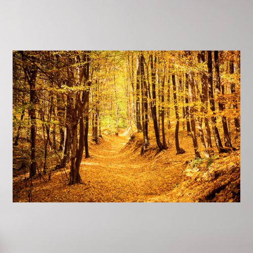 Autumn forest landscape poster