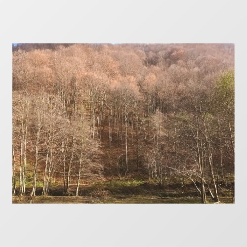 Autumn Forest Landscape - Wild Nature Romania Window Cling