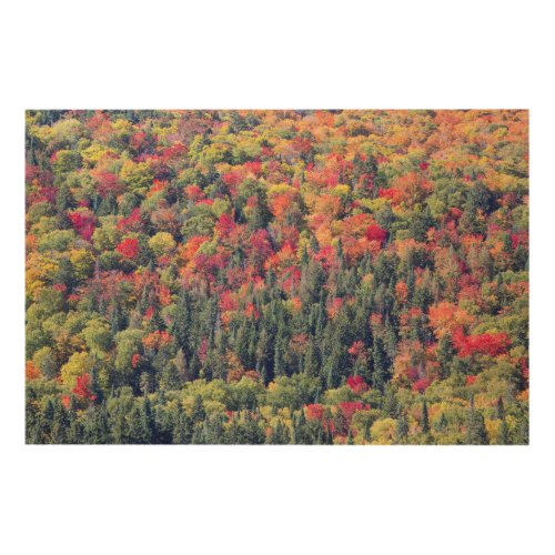 Autumn Forest Landscape Wood Wall Art