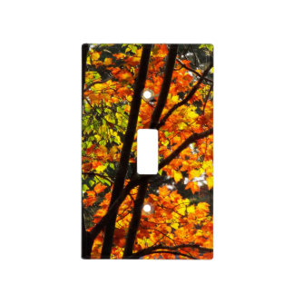 Autumn forest Lightswitch cover