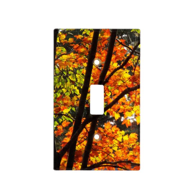 Autumn forest Lightswitch cover (Front)