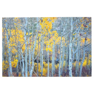 Autumn Forest Metal Print