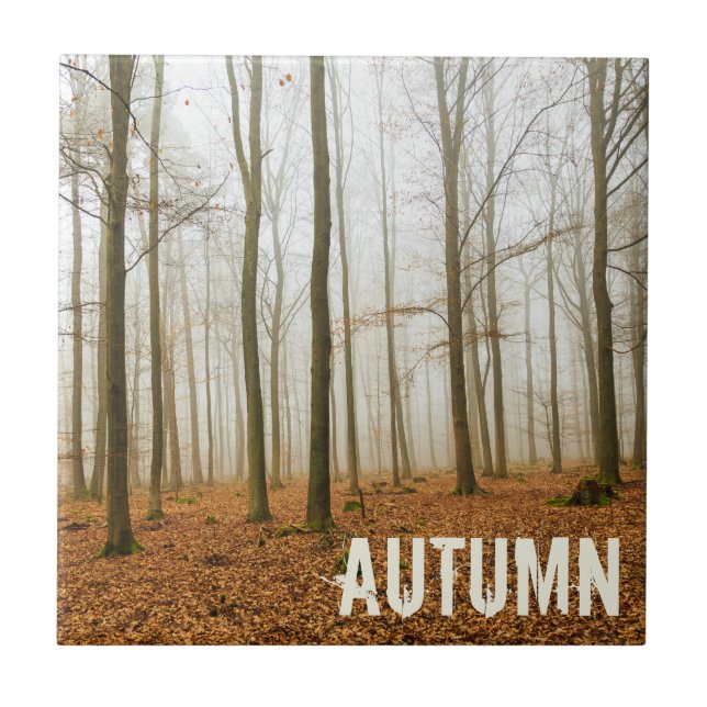 Autumn Forest Mist and Fog Fall Season gift Ceramic Tile (Front)