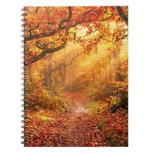 Autumn Forest Notebook