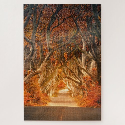 Autumn Forest Path Jigsaw Puzzle