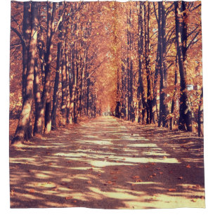 Autumn Forest Path: Tranquil Landscape Journey Shower Curtain
