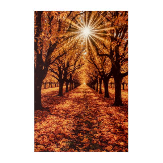 Autumn Forest Path Wall Art with Sun Rays