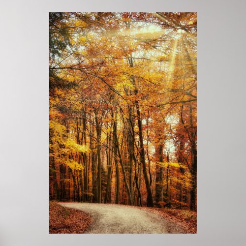 Autumn Forest Pathway Poster