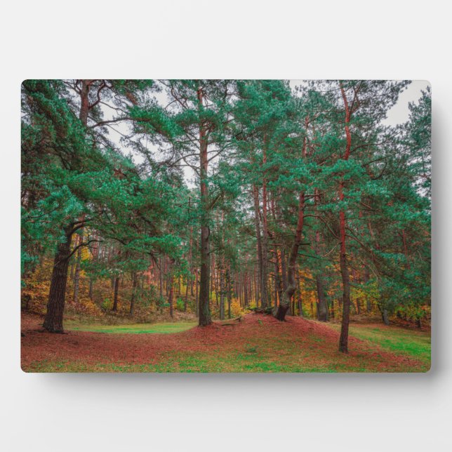 Autumn forest plaque (Front)