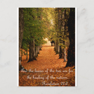Autumn Forest Postcard