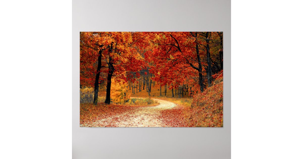 Autumn Forest Poster | Zazzle