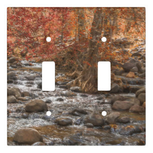 AUTUMN FOREST RIVER SEDONA ARIZONA LIGHT SWITCH COVER