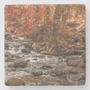 AUTUMN FOREST RIVER SEDONA ARIZONA STONE COASTER