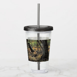 Autumn forest scene              acrylic tumbler