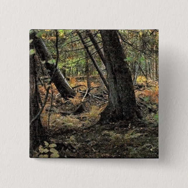 Autumn forest scene        button (Front)