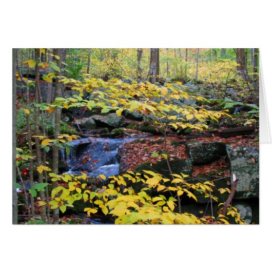 Autumn forest scene cards (Front Horizontal)