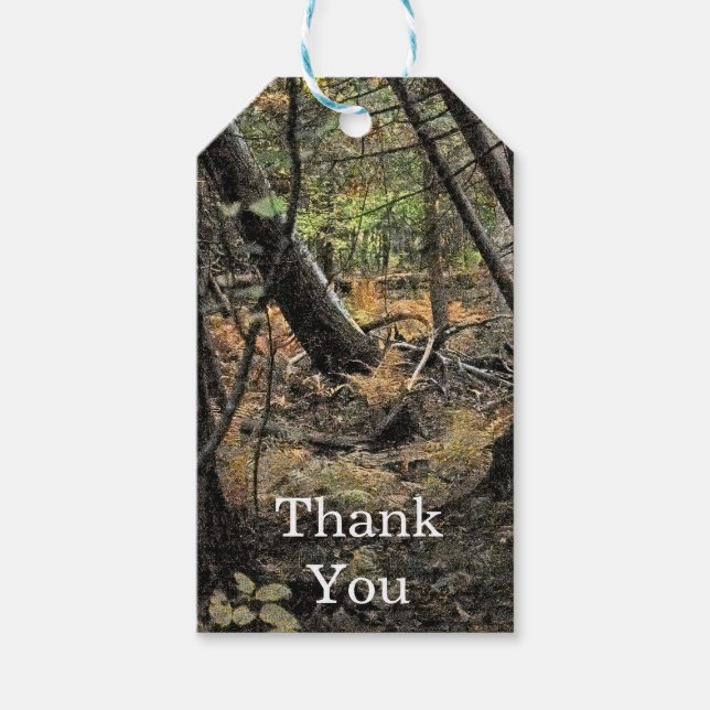 Autumn forest scene              gift tags (Front)