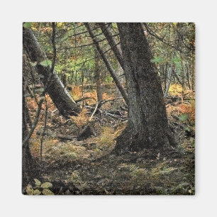 Autumn forest scene magnet