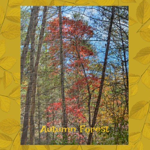 Autumn Forest Scenic Landscape Photographic Jigsaw Puzzle