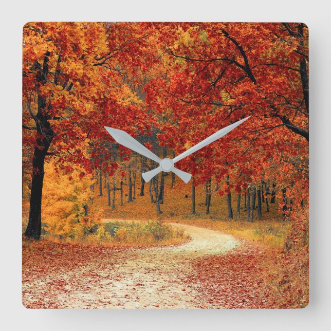 Autumn Forest Square Wall Clock (Front)
